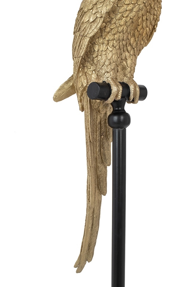 61630_parrot_116cm_7_1