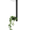 MOOSEE lampa ścienna PLANT WALL czarna znajdziesz w ofercie sklepu internetowego plantip.pl