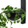 MOOSEE lampa ścienna PLANT WALL czarna znajdziesz w ofercie sklepu internetowego plantip.pl