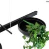 MOOSEE lampa wisząca PLANT LINE czarna znajdziesz w ofercie sklepu internetowego plantip.pl